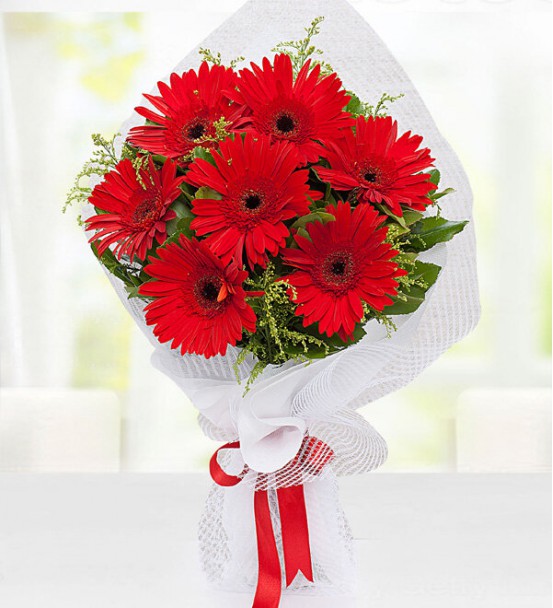 Gerbera Buketi Kırmızı